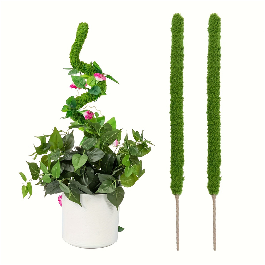 Terrarium Moss Art - 1 pièce de bâton de mousse