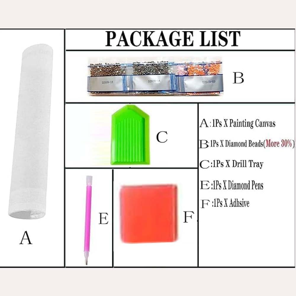 Kits de Peinture Diamant Tortu - Resin Craft Kit avis et prix