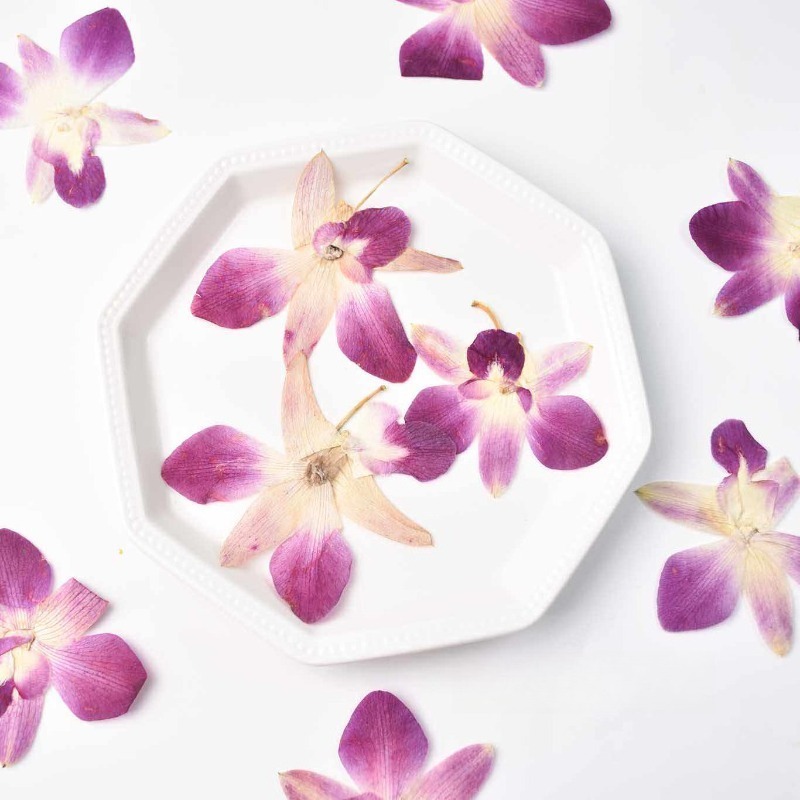4 pièces, véritables fleurs d' - Resin Craft Ideas avis et prix